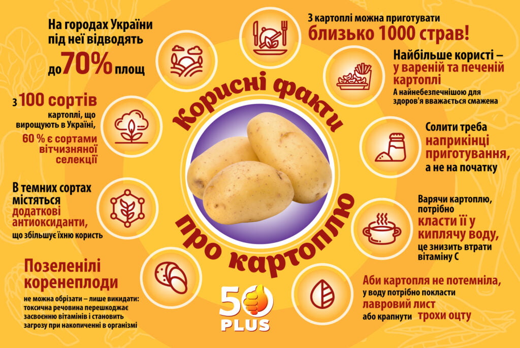 картопля корисні факти - Еда - 50Plus