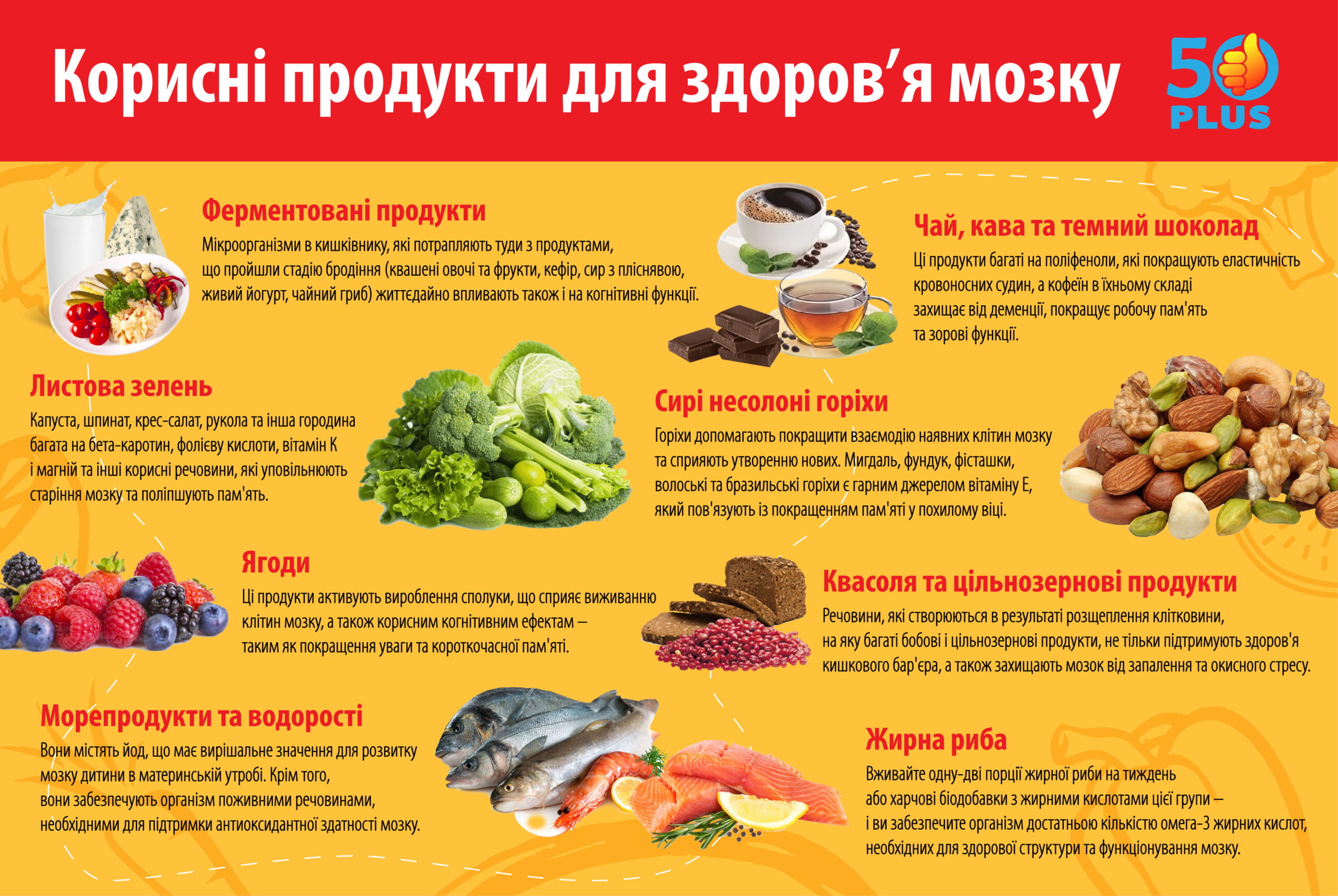 Корисні продукти для здоров'я мозку