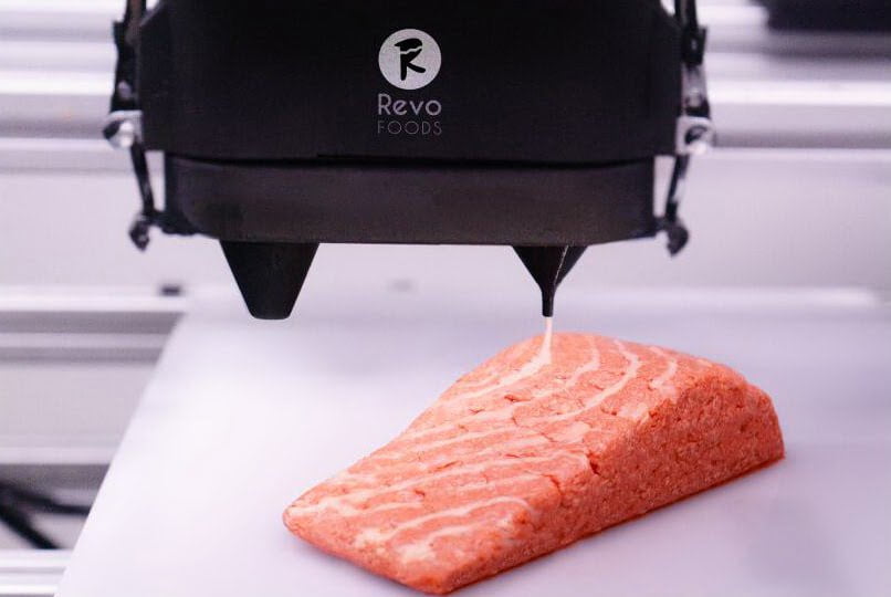 3D-printed salmon