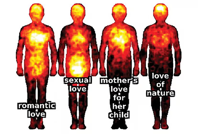 27 іпостасей любові: науковці знають, де в нашому тілі живуть почуття