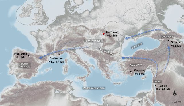 новая карта истории миграции homo erectus разработана командой Garba - История - 50Plus