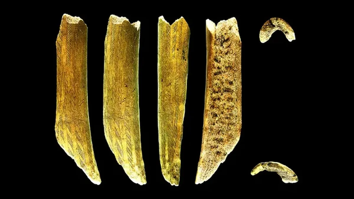 Різні види прикрашених рогів зі Швеції