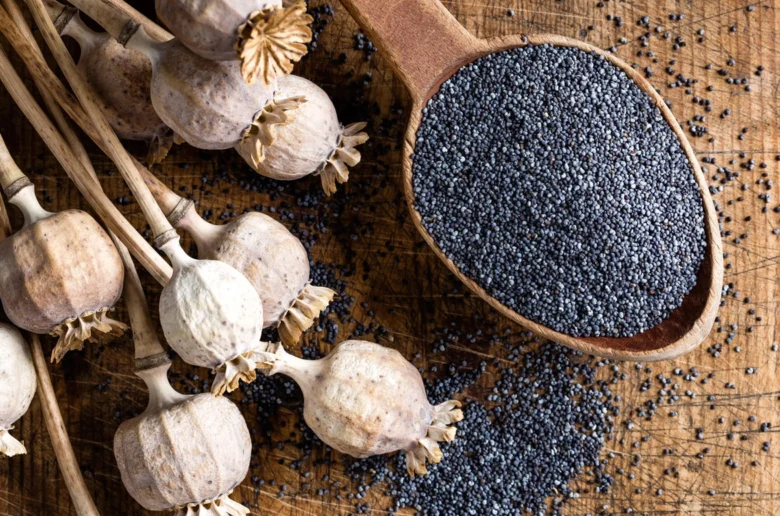 Мак: смакота і оберіг