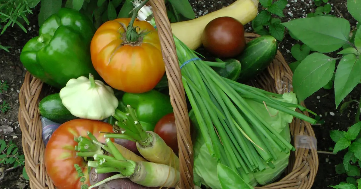 Зелене – значить корисне