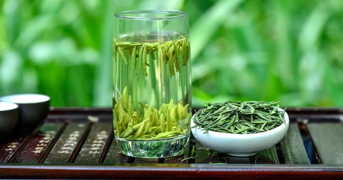 Зелений чай захищає від хвороби Альцгеймера