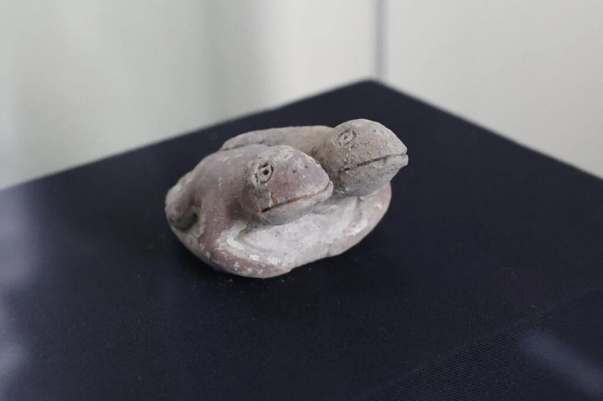 Археологи відкопали в Перу рідкісну скульптуру жаб