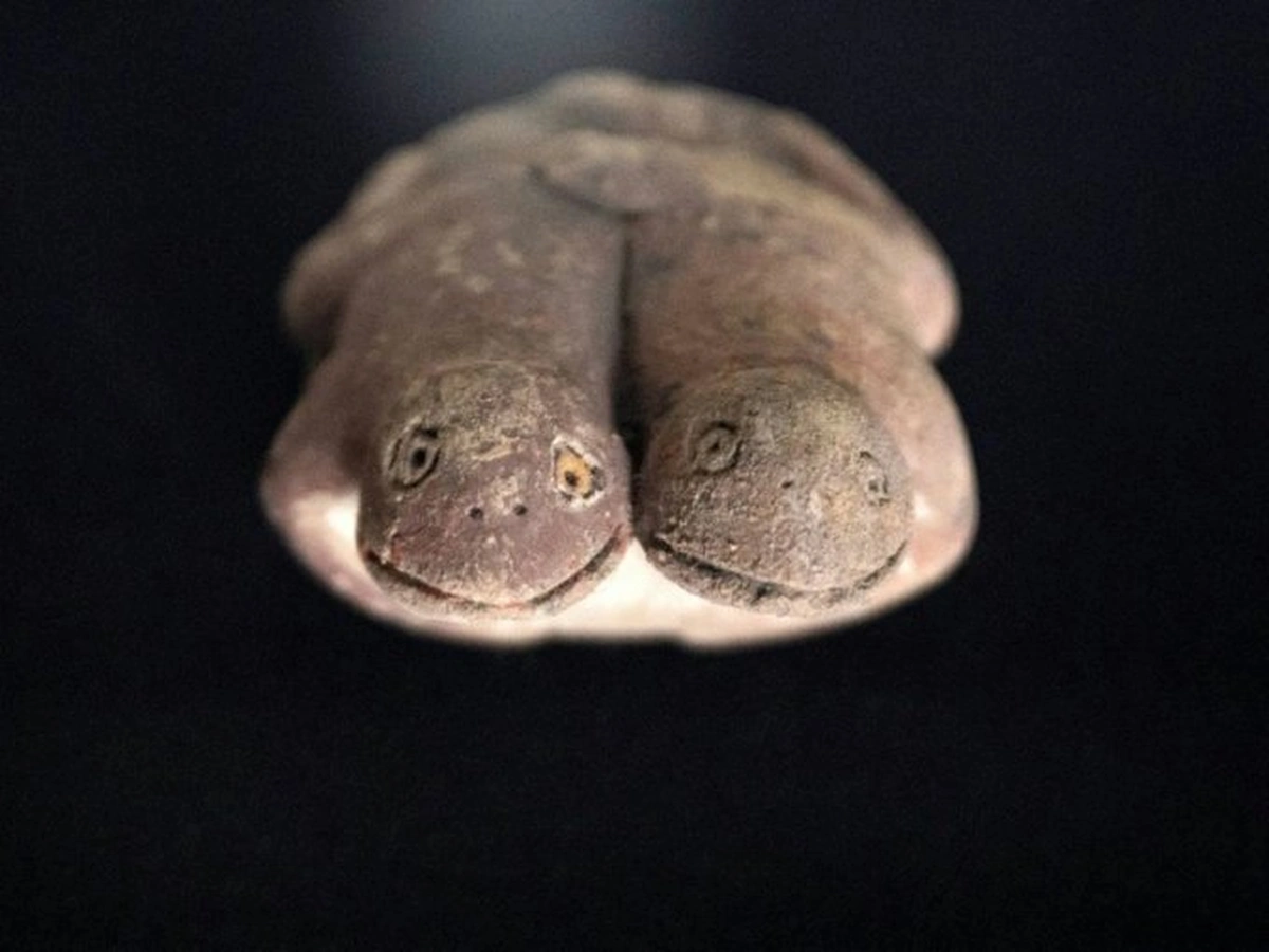 скульптура жаб