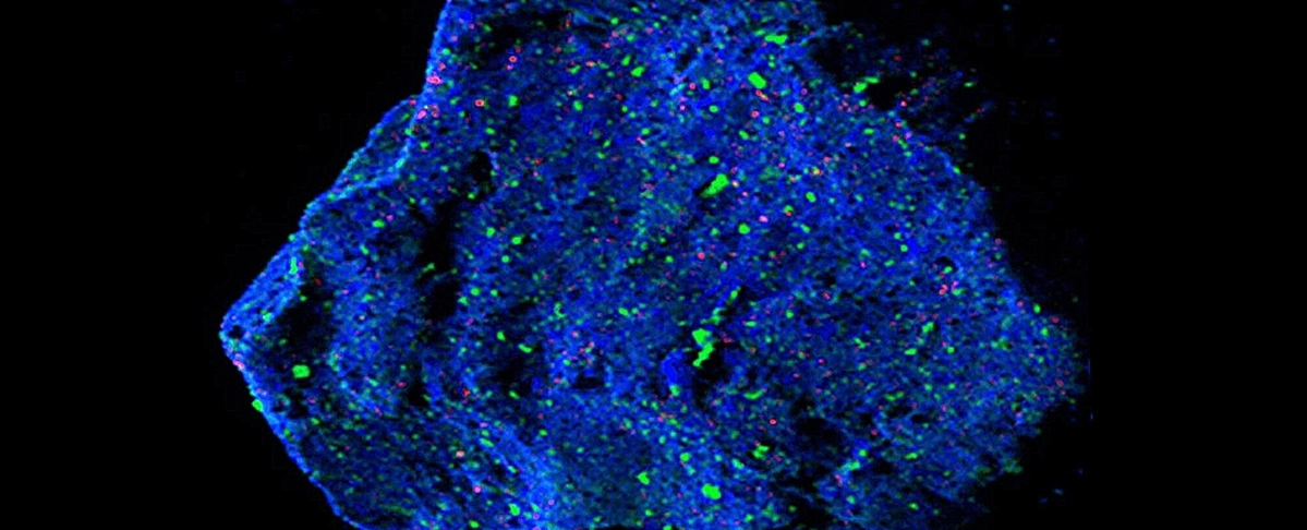 У фрагменті астероїда Рюгу виявили дивний мінерал. На Землі такого немає