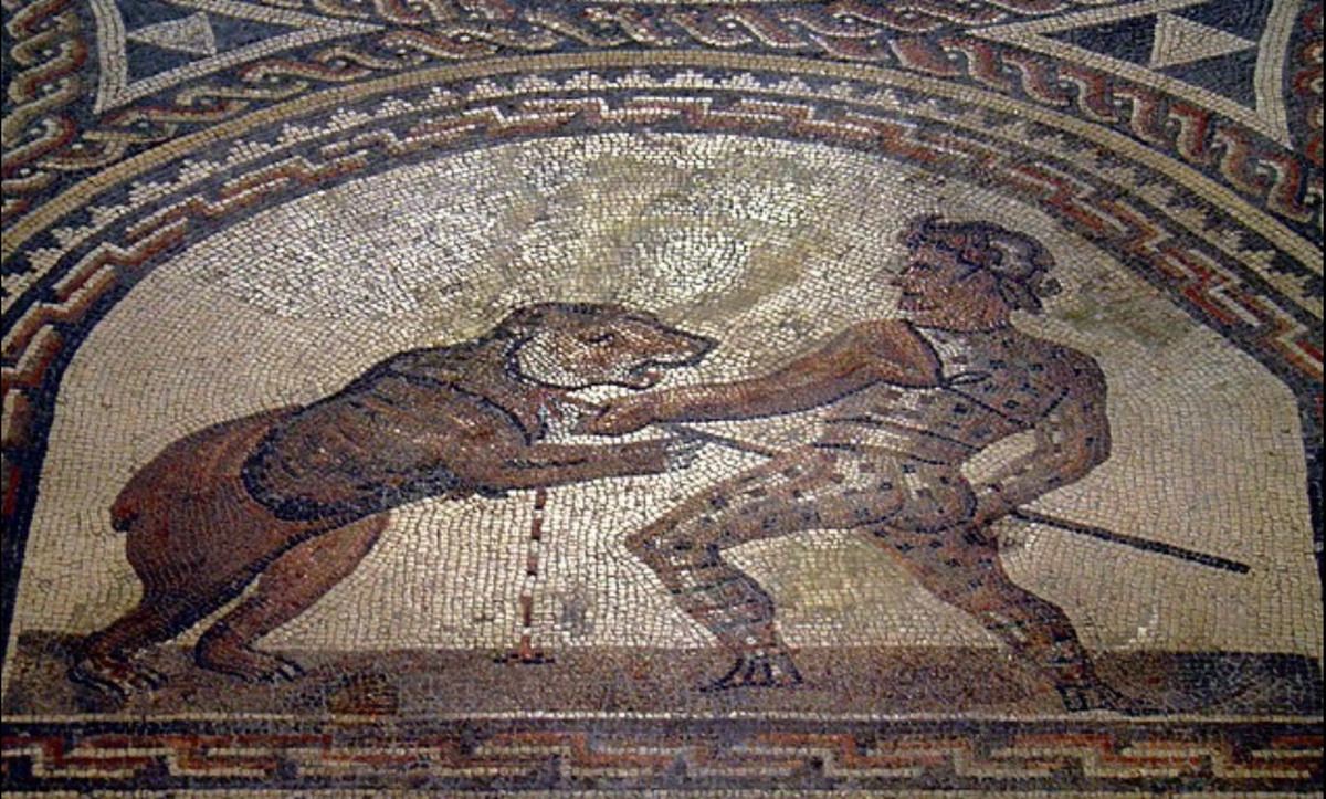 Ведмеді на давньоримських аренах