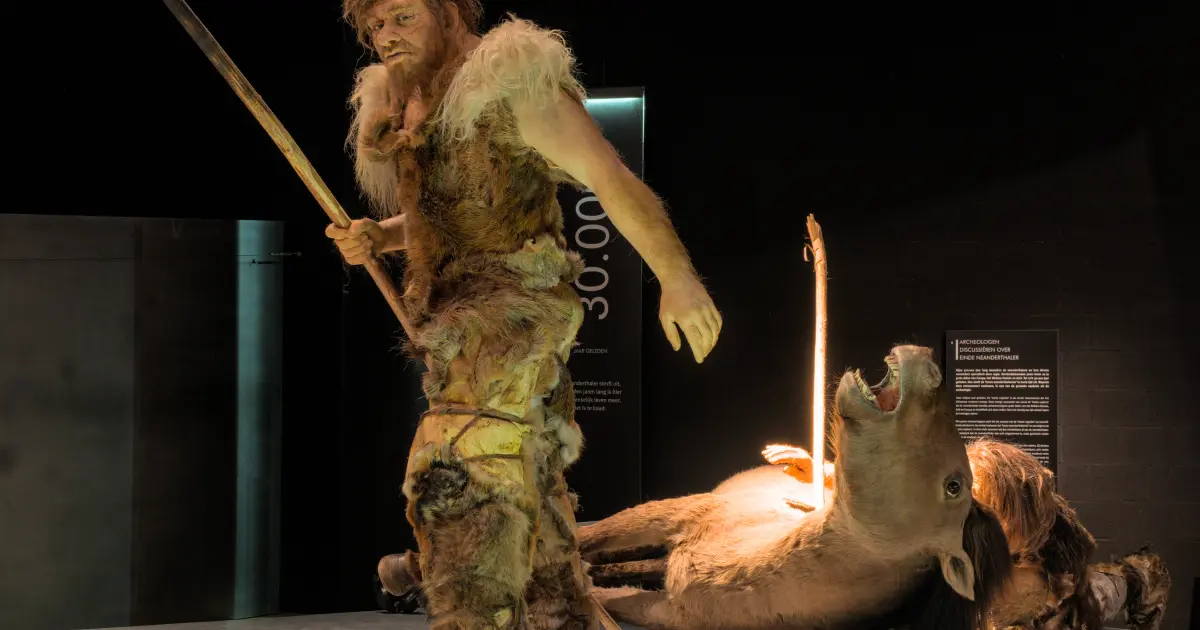 Висока печерна мода: виявлено важливий інструмент неандертальців для створення одягу