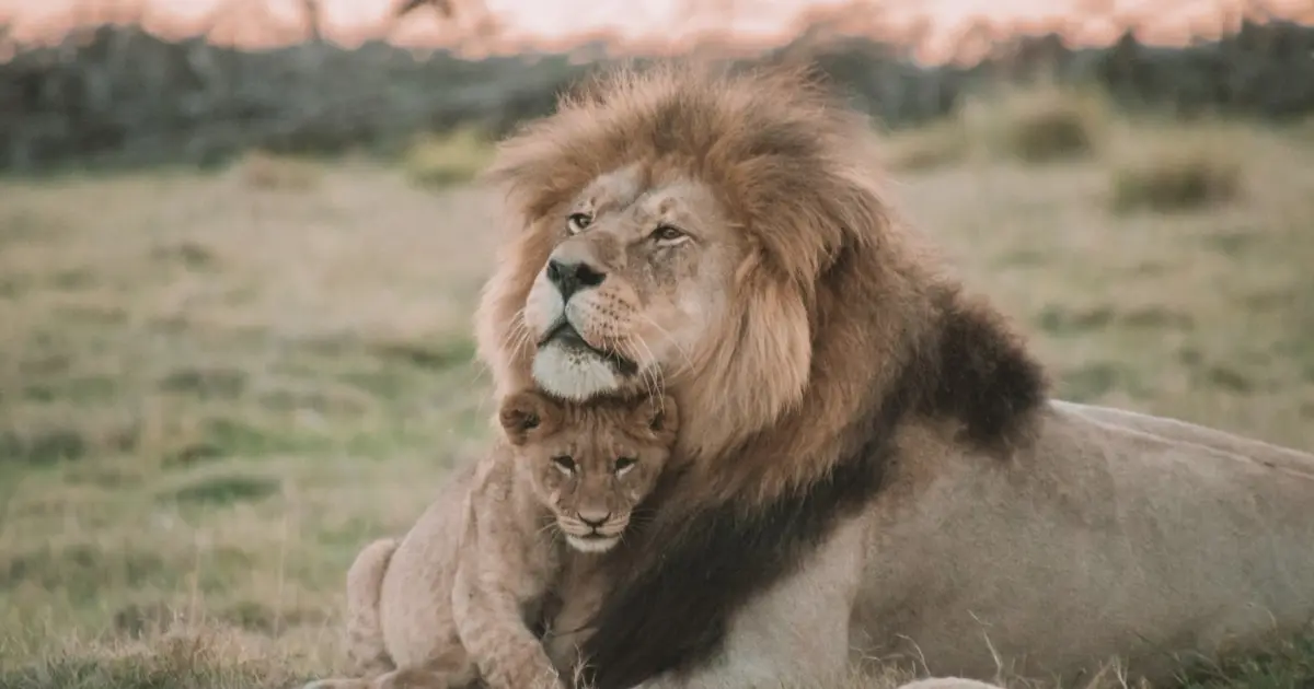 левиця з левеням