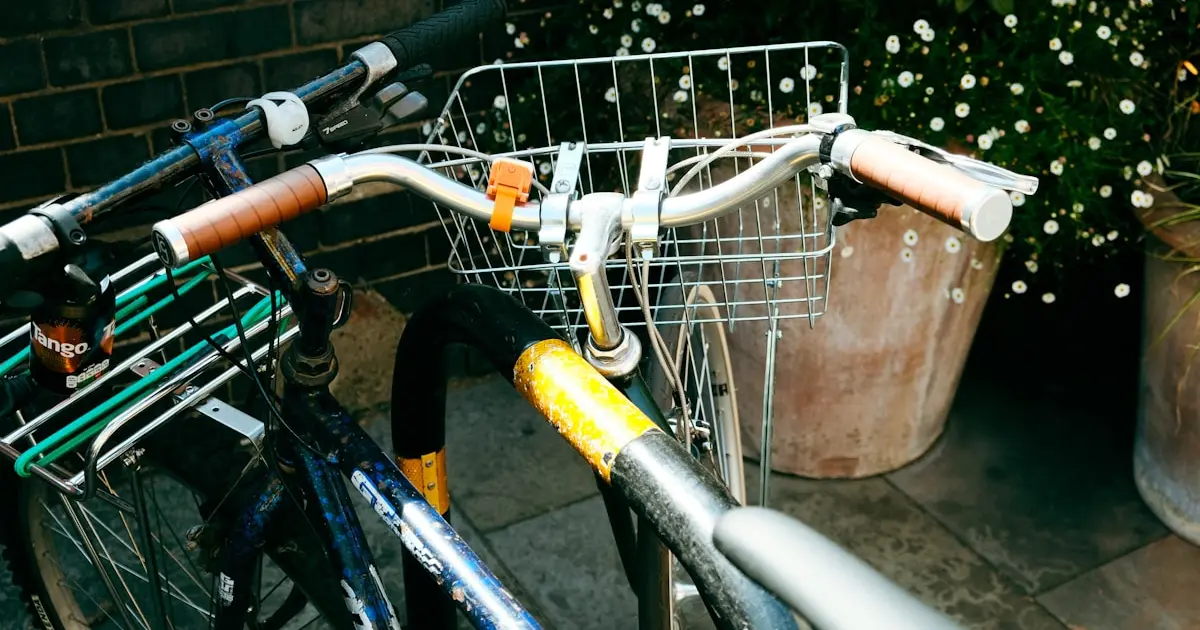 велосипед біля ялинки