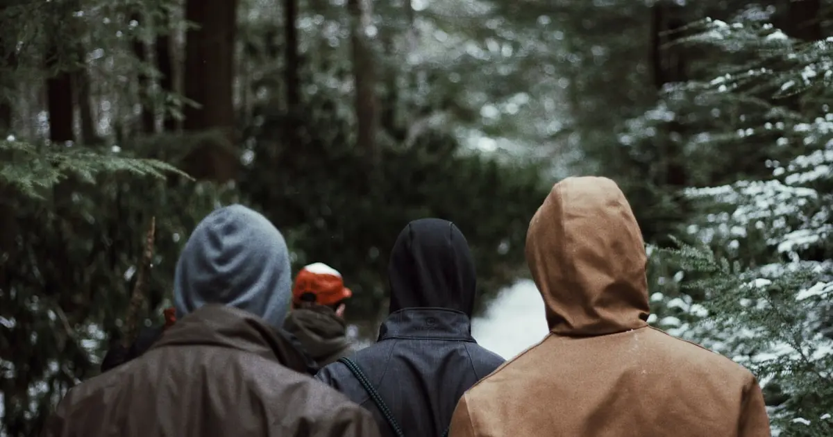 люди гуляють у лісі