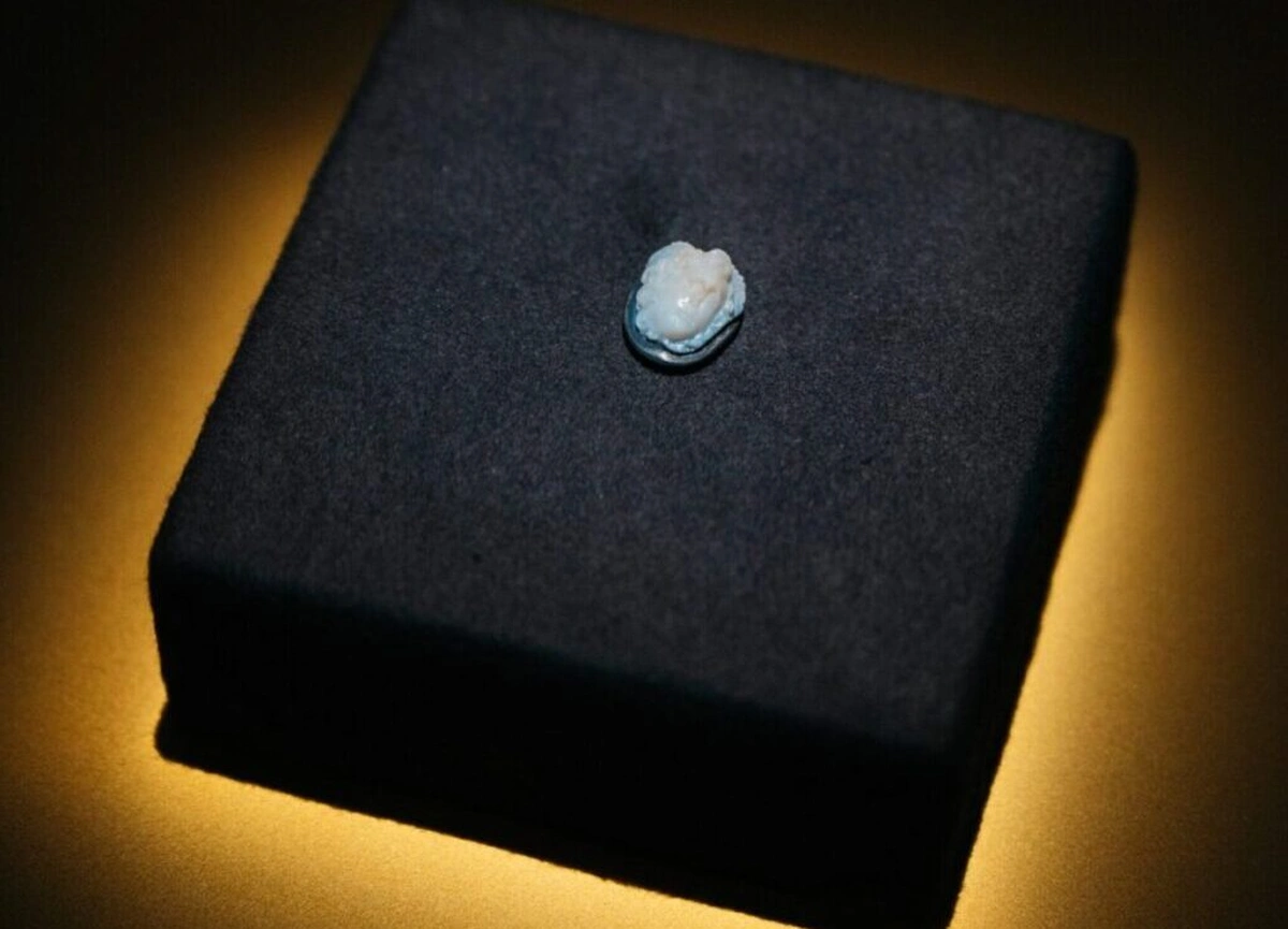 камінчик із зображенням Медузи Горгони