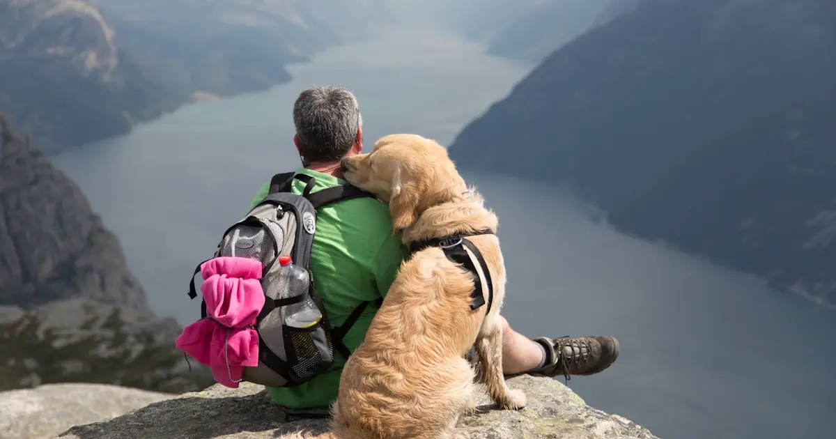 Люди та золотисті ретривери генетично споріднені: несподіване відкриття