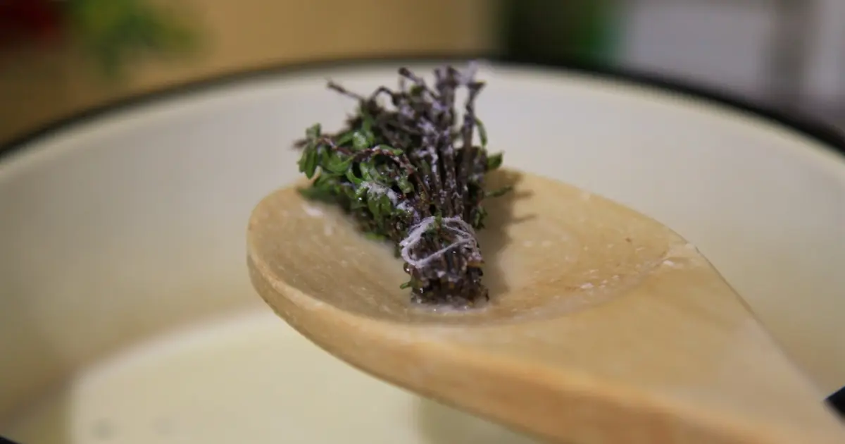 Чебрець (тим'ян)