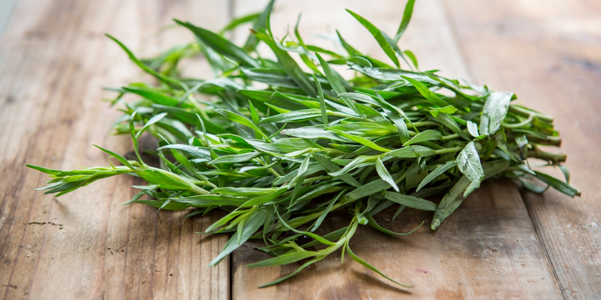 Естрагон (тархун)