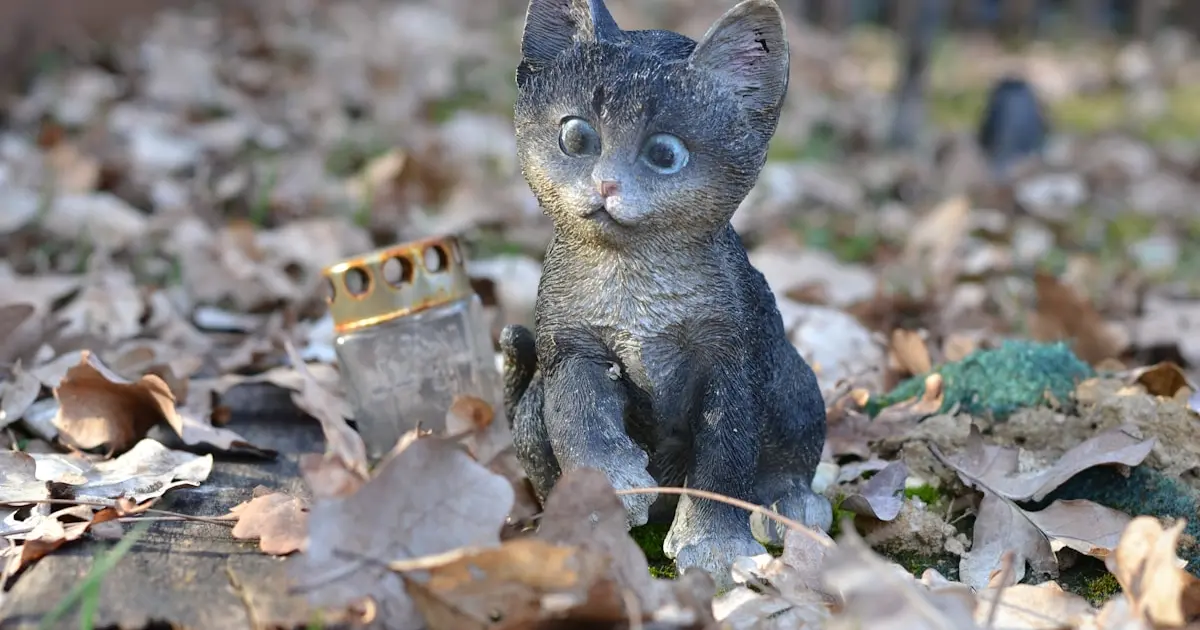 Смерть домашньої тварини для її власника така ж болісна, як втрата члена сім'ї