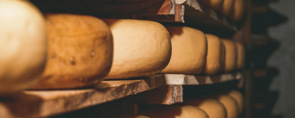 голівки сирів на дерев'яних полицях