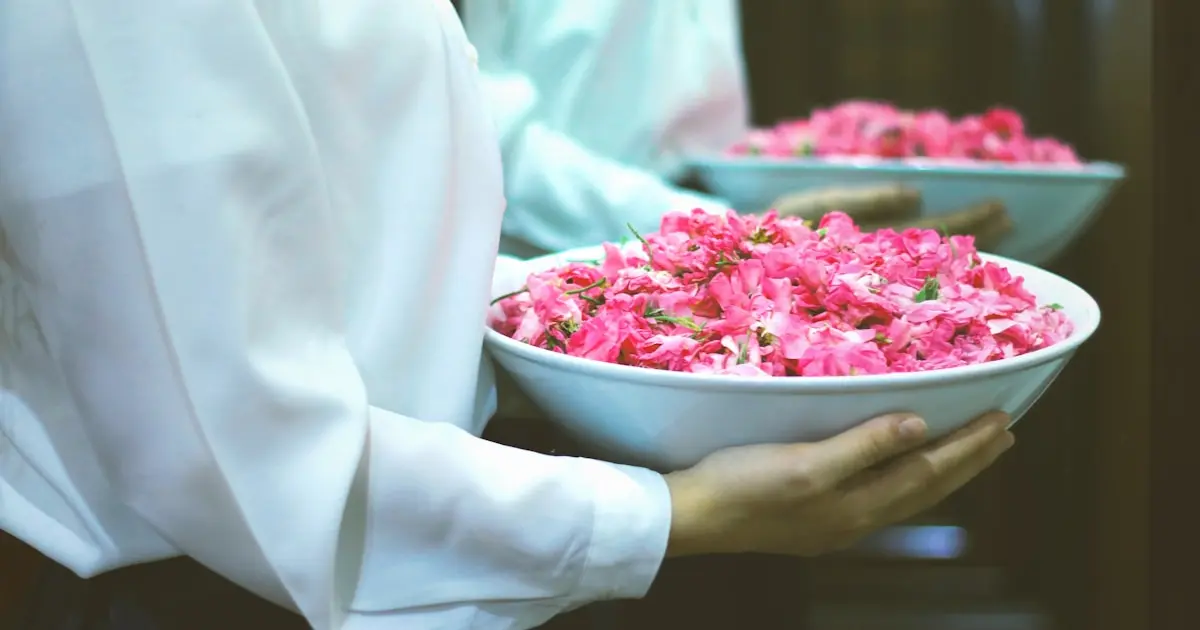 люди тримають миски з пелюстками троянд