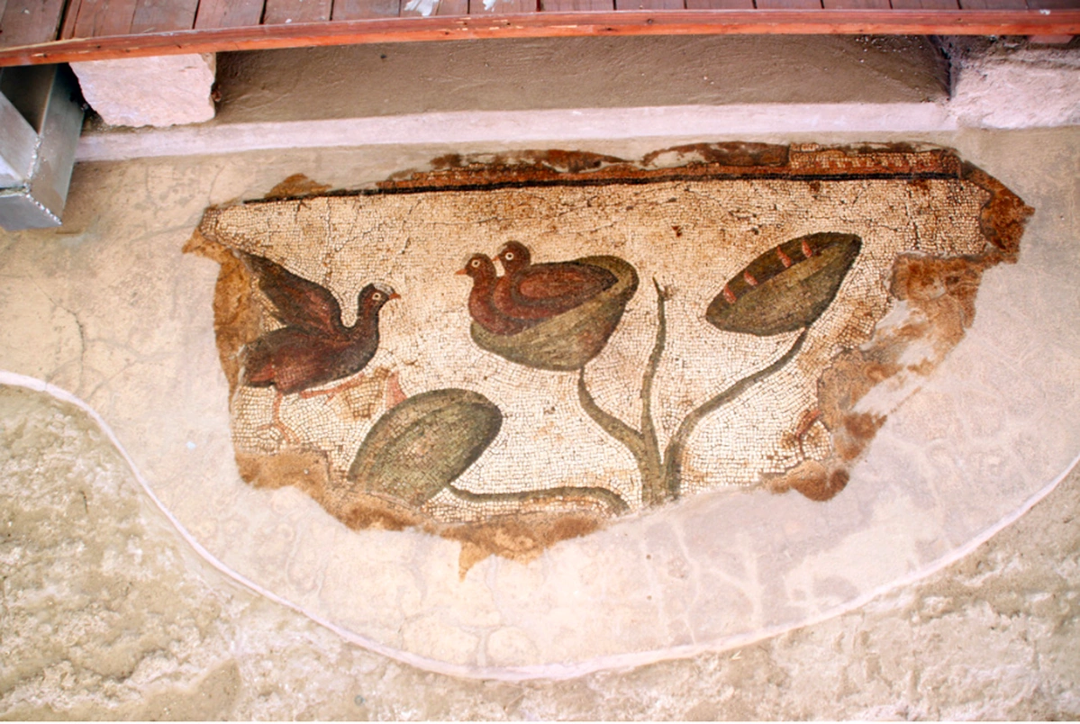 мозаїка Вілли амазонок, зала птахів