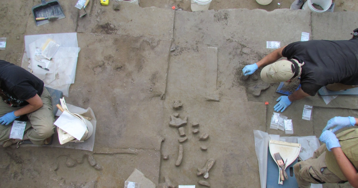 Розкопки на Алясці: стало відомо, як люди прийшли з Азії до Америки 14 000 років тому