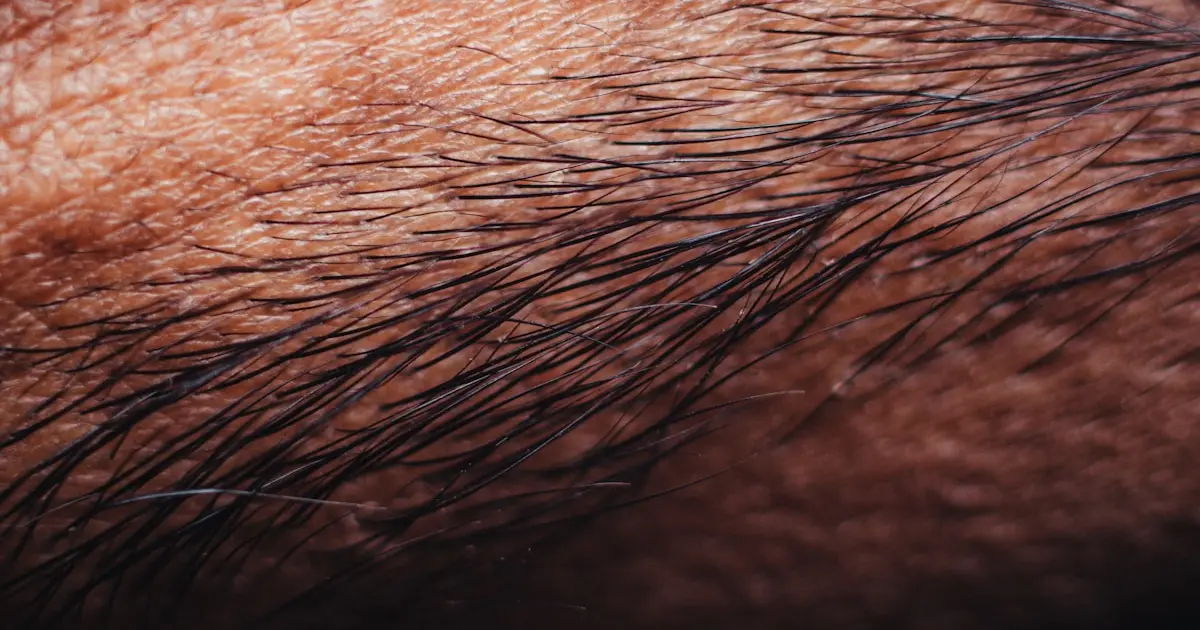 волосинки брів