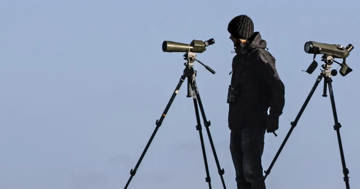 Спостереження за птахами захищає зір і пам’ять від швидкого старіння