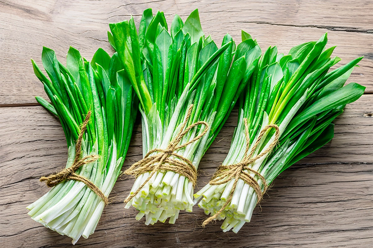 черемша на столе