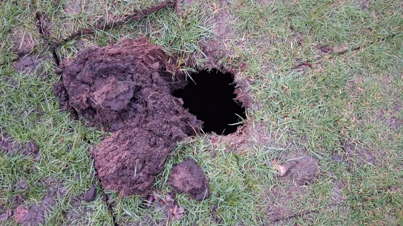 отвір у полі для гольфу