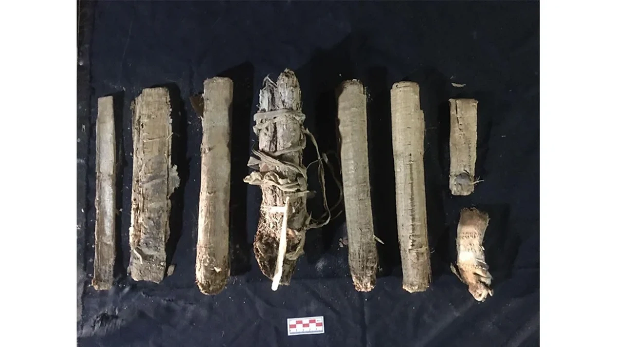 Папіруси з поховання у Луксорі