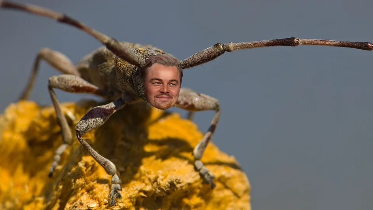 6 відомих людей, на честь яких назвали види тварин