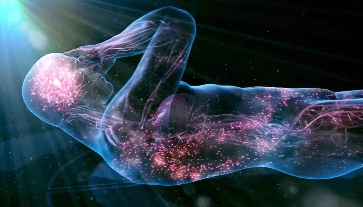 кровообіг людського мозку