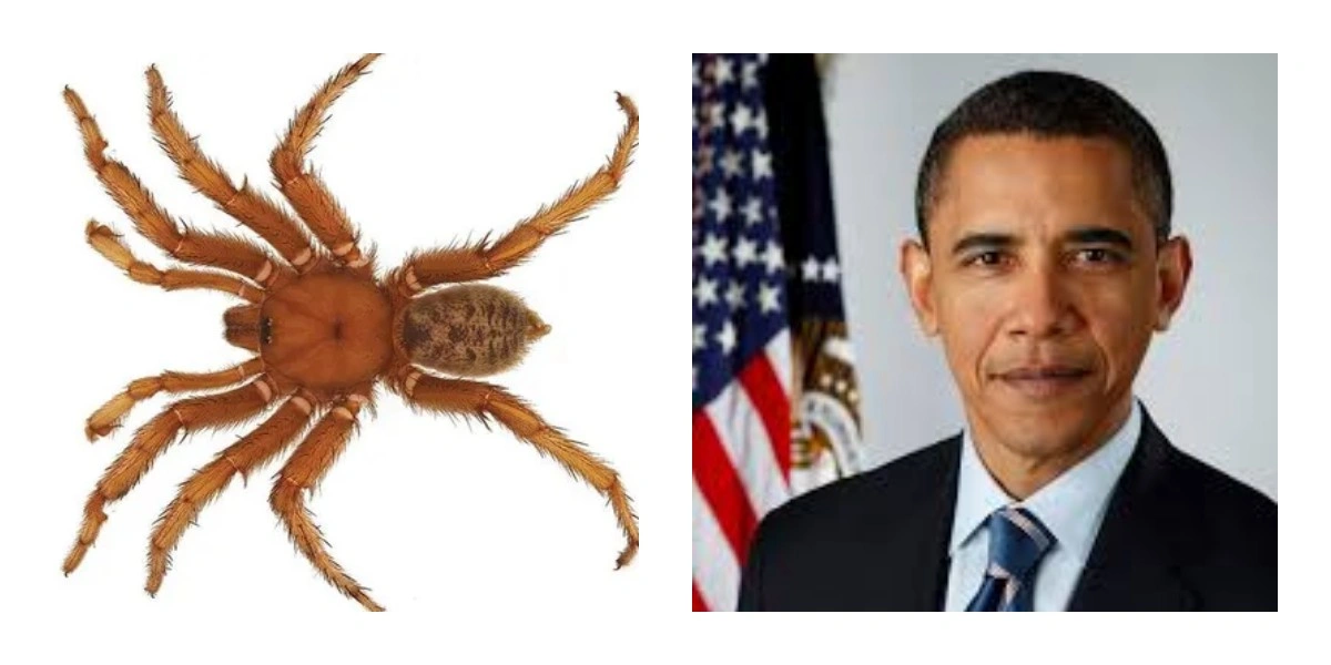 Барак Обама