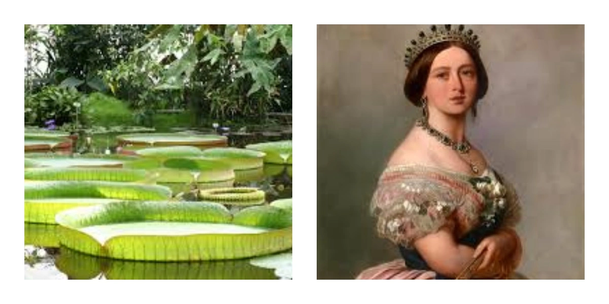 Королева Вікторія