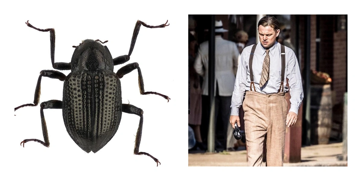 Леонардо ДіКапріо