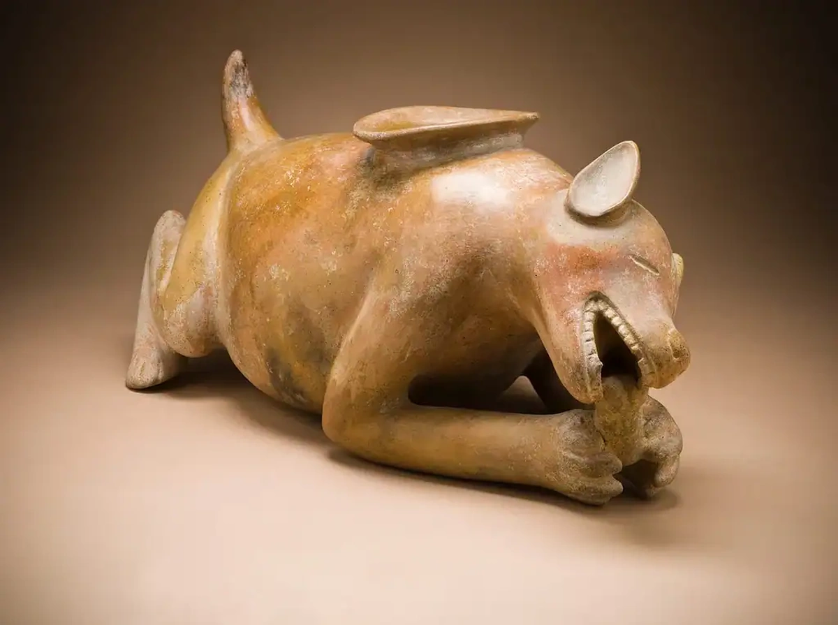 Посудина для годування собак